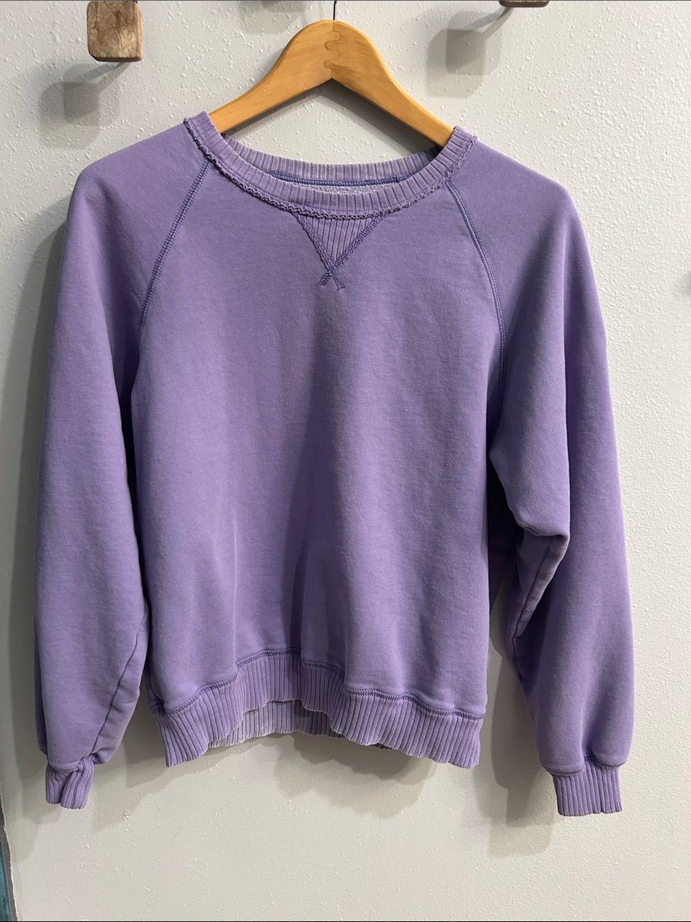 American Eagle Seriously Lived-In Crewneck Raglan Sweatshirt Purple